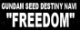 GUNDAM SEED DESTINY NAVI 